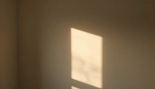 技术转让中选择性能与适用条件的取舍